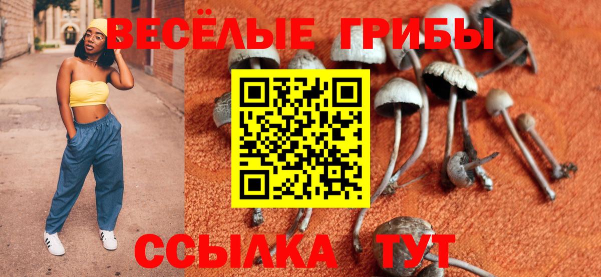 Десногорск  где можно купить   Вход с VPN  Галлюциногенные грибы GOLDEN TEACHER 